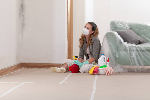 Reliable Mold Remediation contractor in Fulton, MD by WQB Mold Removal